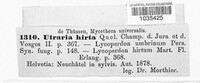 Utraria hirta image